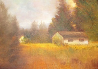 Field Of Summer
