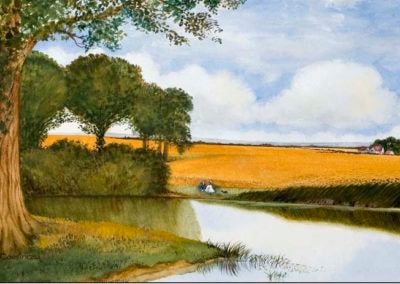 Field of Gold