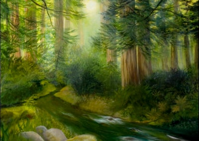 Forest Stream