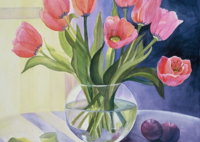 Tulips With Two Plums